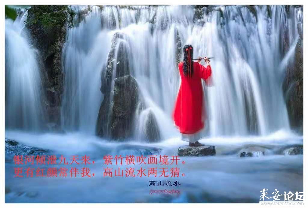 了解美貌是最廉价的,时尚也是最廉价的?知识星球,深入探索专业领域
